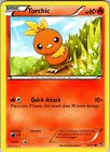 Torchic