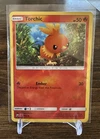 Torchic