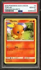 Torchic