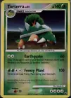 Torterra