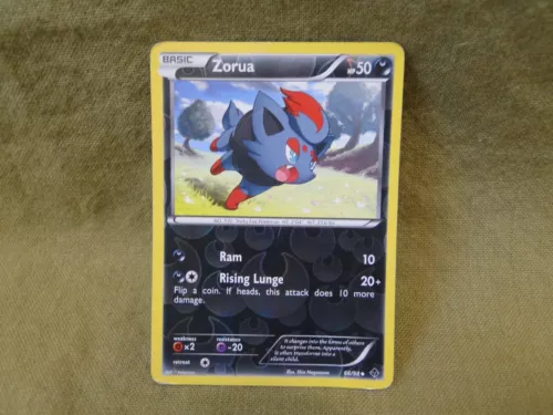 Zorua