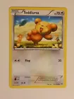 Teddiursa