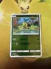 Turtwig