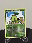 Turtwig GL