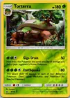 Torterra