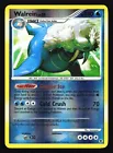 Walrein