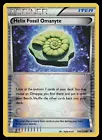 Helix Fossil Omanyte