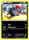 Zorua