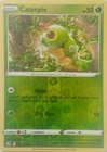 Caterpie