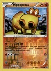 Hippopotas