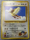Pidgey