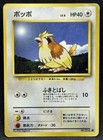 Pidgey