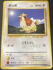 Pidgey