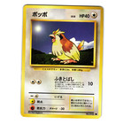 Pidgey