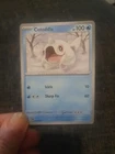 Cetoddle