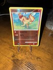 Ponyta