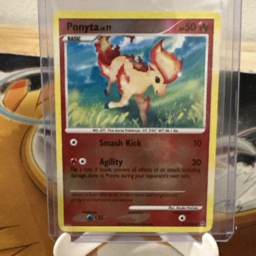 Ponyta