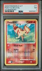Ponyta