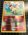 Ponyta