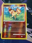 Ponyta