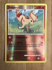 Ponyta