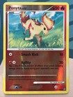 Ponyta