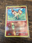 Ponyta
