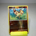 Ponyta