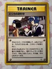 Erika's Maids