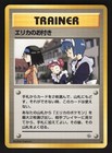 Erika's Maids