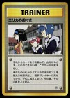 Erika's Maids