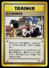 Erika's Maids