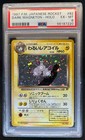 Dark Magneton