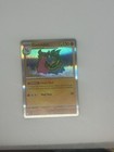 Gastrodon