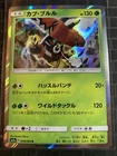 Tapu Bulu