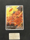 Tepig