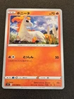 Ponyta