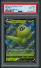 Celebi V