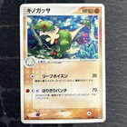 Breloom