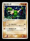 Breloom