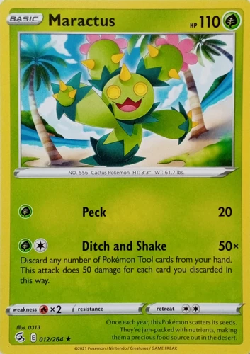 Maractus