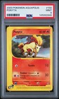 Ponyta