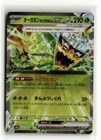 Wellspring Mask Ogerpon Ex