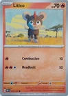 Litleo