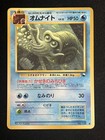 Omanyte