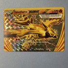Talonflame BREAK