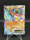 Hawlucha EX