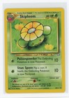 Skiploom