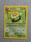 Skiploom