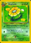 Skiploom